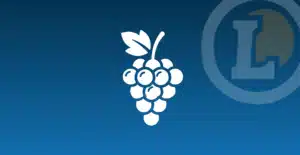 Logo foire aux vins