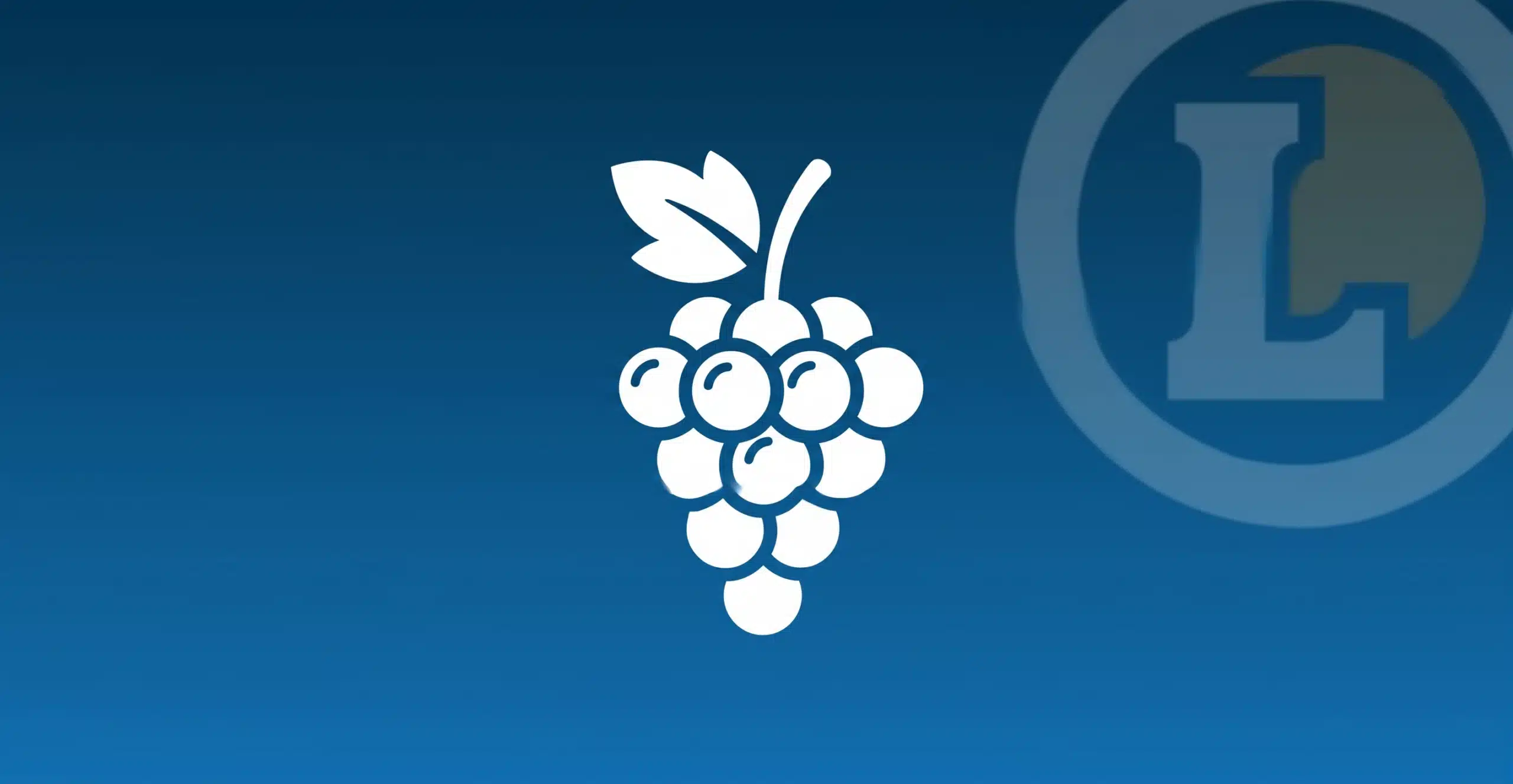 Logo foire aux vins